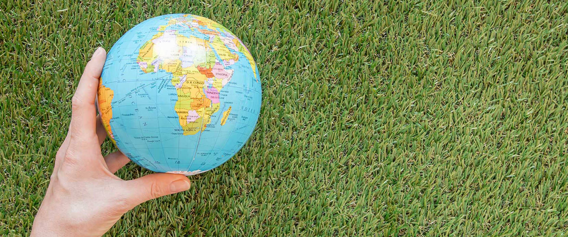 SEIKO Research Institute / 株式会社清光教育総合研究所